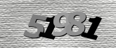 Captcha resmi
