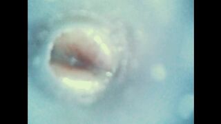 Internal views - Endoscope inside ass , cock , mouth - endoscope