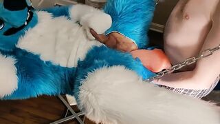 Fizzy tries a new toy in the sling