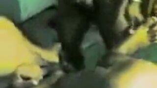 Indonesian Bareback: Smoking Top Fucks Younger Bottom