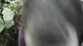 Bear Cub Blows a Load in His Mouth and Swallows
