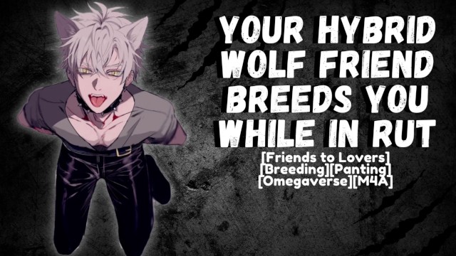Your Hybrid Wolf Friend Barebacks You While In Rut