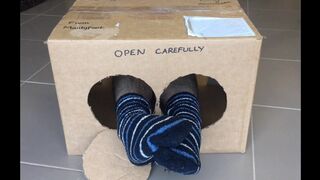 Surprise Delivery series - Striped bed socks Big Male Feet to Worship