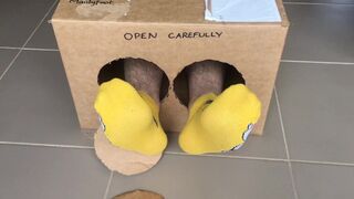 Surprise Delivery Series - Lucky magic cat ankle socks - Big Male