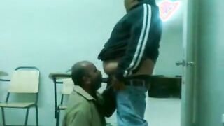 Fat Daddy Bear Sucks Chub