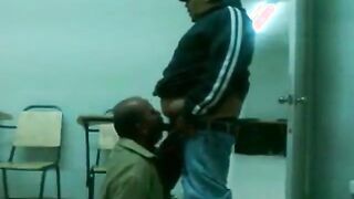Fat Daddy Bear Sucks Chub