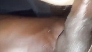 Interracial Bareback with the Afternoon Visitor