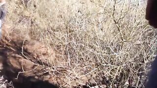 Bearded Stranger's Outdoor Adventure