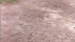 Fat Cock Sucking in the Woods by Horny Amateur