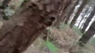 Bears Group Sex Outdoor
