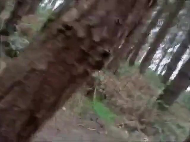 Bears Group Sex Outdoor