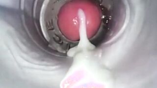 Amateur Big Cock Handjob Masturbation