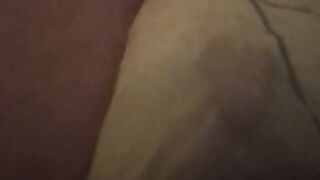 patetic puppy plays with his nappy