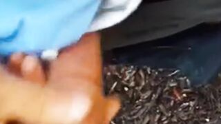 Black cock in my mouth