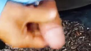 Black cock in my mouth