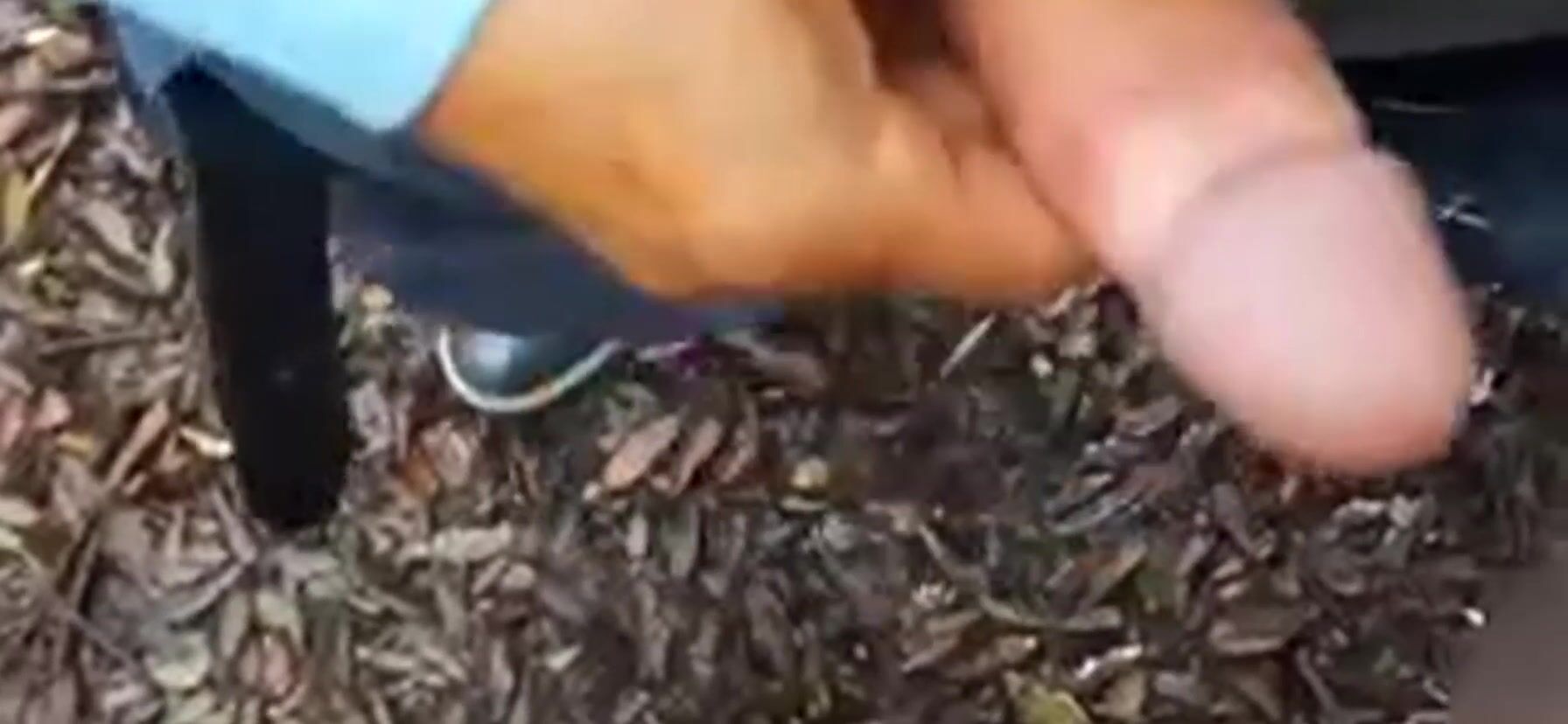 Black cock in my mouth
