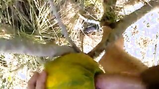 Outdoor Melon Play