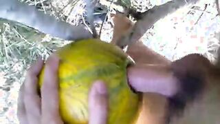 Outdoor Melon Play