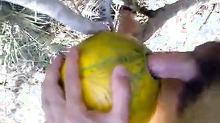 Outdoor Melon Play