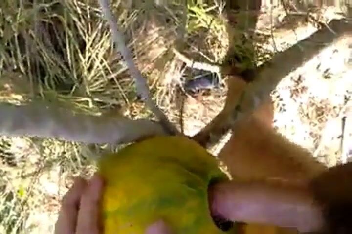 Outdoor Melon Play
