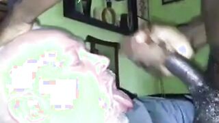 Black Bear Cub Takes on Daddy
