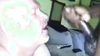 Black Bear Cub Takes on Daddy