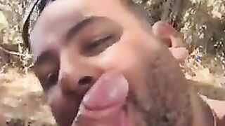 Bear Sucks and Swallows Outdoors