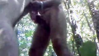 Bareback Daddy Outdoor Fuck