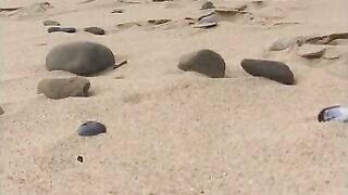 Nude Beach Boners: Big Cocks Outdoors Part 2