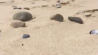 Nude Beach Boners: Big Cocks Outdoors Part 2