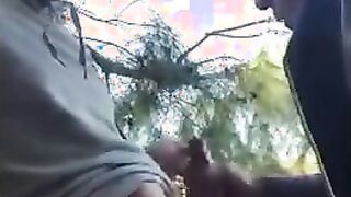 Outdoor Blowjob Adventure