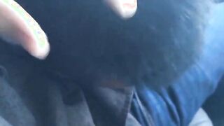Twink Sucks Big Cock in a Car