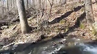 Forest diaper boy (SHORT VID)