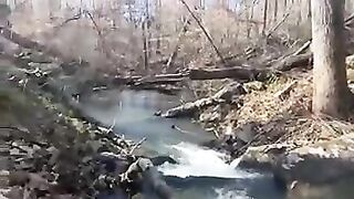 Forest diaper boy (SHORT VID)