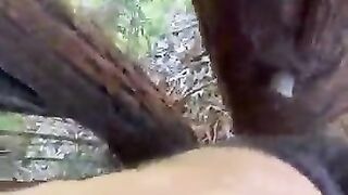 Latino Faggot 5