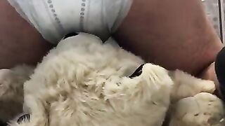 boy poops diaper over teddybear