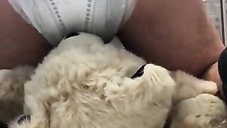 boy poops diaper over teddybear