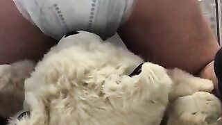 boy poops diaper over teddybear