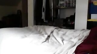 Bear Daddy, Fucking a Tight Latino Ass