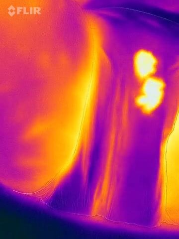 Thermal video diaper pee