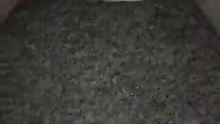 Horny diaper boy - video 4