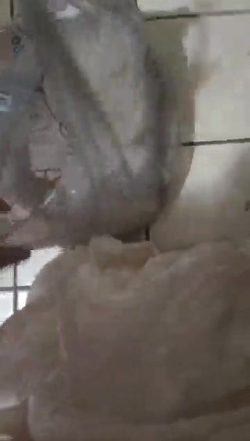 Pee diaper and bug in it