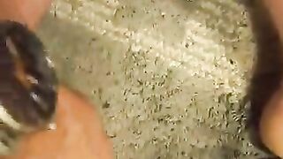Diaper - video 247