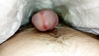diaper pee - video 23
