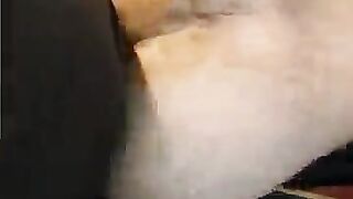 Hairy fat ass pounded with strapon