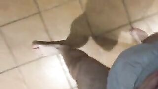 Llevando un pañal en pañales