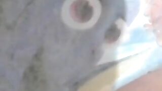 Jugando con mi pañal - video 2