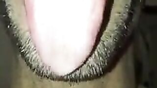 Mouth/tongue