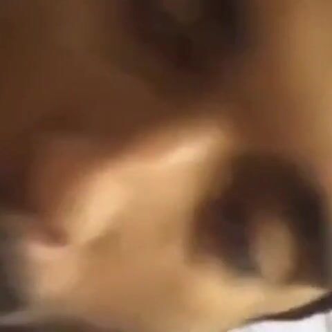 Indian Amateur Sucks a Big Black Cock