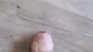 Italiano con un bel cazzo grosso sul tavolo